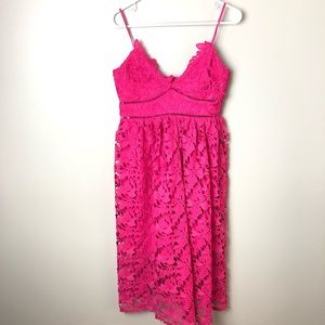 bardot sonya lace fit & flare dress